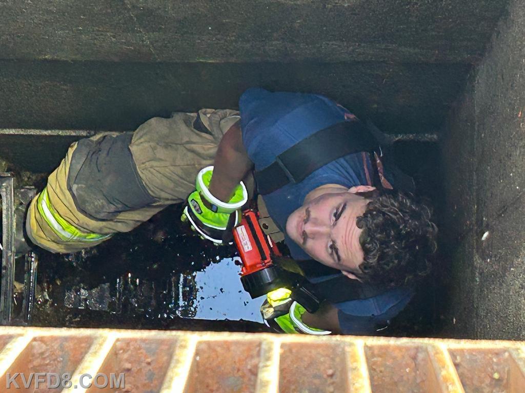 Baby Ducklings Rescued From A Storm Drain In Home Depot's Parking Lot ...